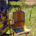 cowpastureeasel